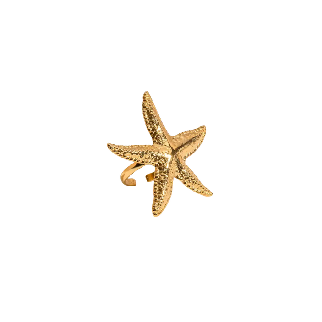 BIG STAR RING