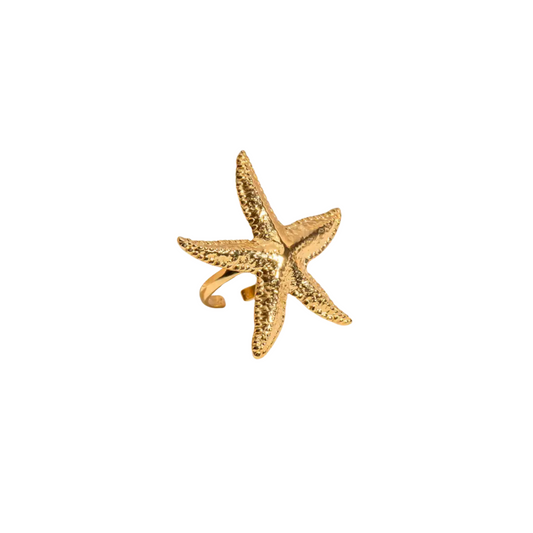 BIG STAR RING